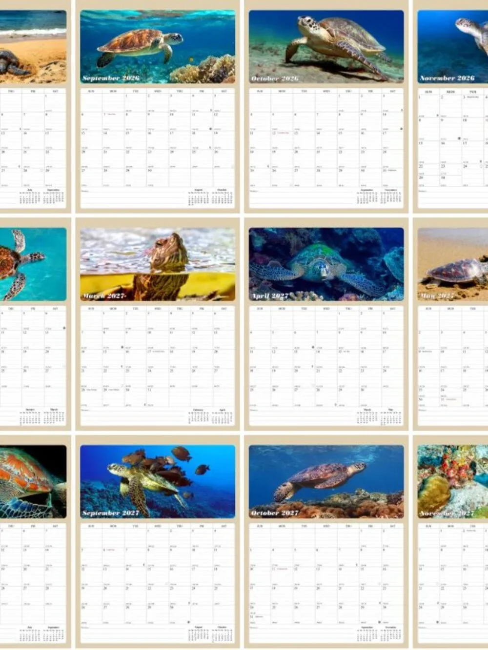 2026 - 2027 Calendar Magnetic Peel & Stick 18 Months 8.5